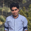 M. Reza Zamani Kouhpanji