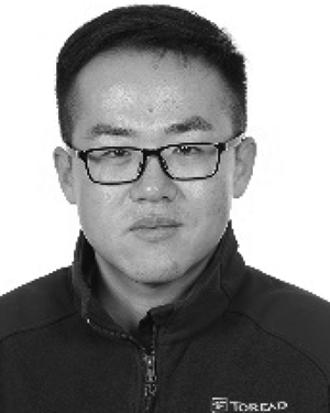 Qingyang Han