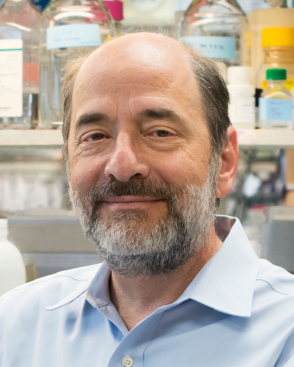 Michael Greenberg