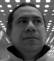 Criel Merino
