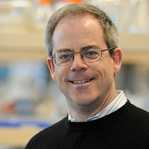 David D. Kitts