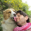 Shai Aviram