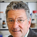 Willem J H van Berkel