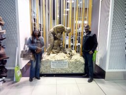 James Olopade