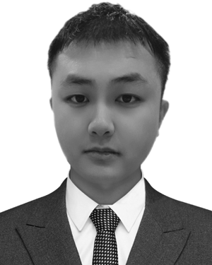Yanlong Qiu