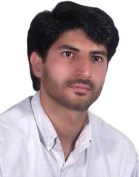 Mohammad Hossein Golmohammadi
