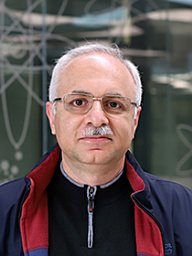 Mehrdad Shokooh-Saremi