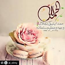 Salwa F Ahmed