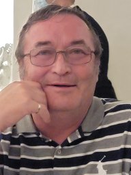 Vladimir L Safonov