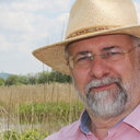 Mark P Simmonds
