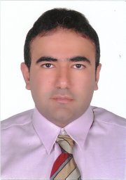 Alireza Hosseini Araghi