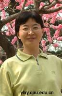 Kuiling Wang