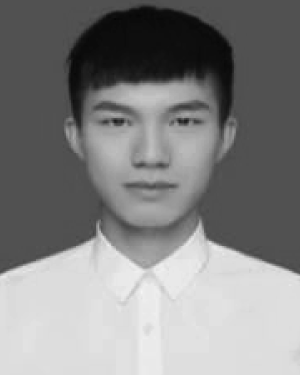 Xin Zou