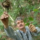 Richard A. Noske