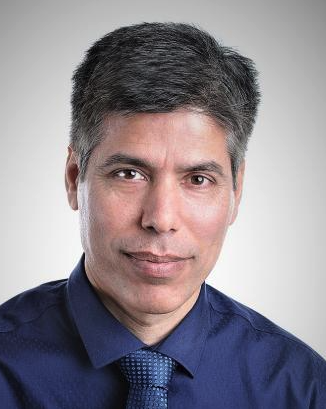 Mehdi Sargolzaei