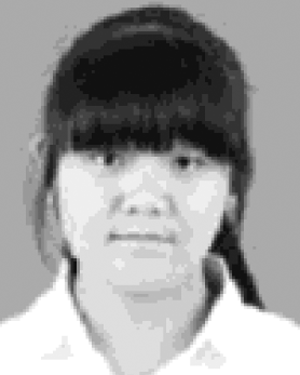 Mengting Niu