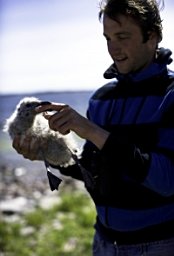 Jaatinen Kim