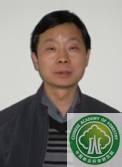 Jingmin Jiang