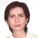 Parisa Ansari