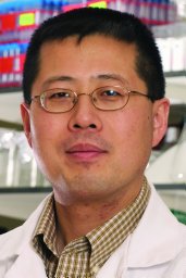 Dong Wang