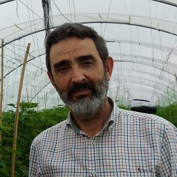 Pedro Gavilán