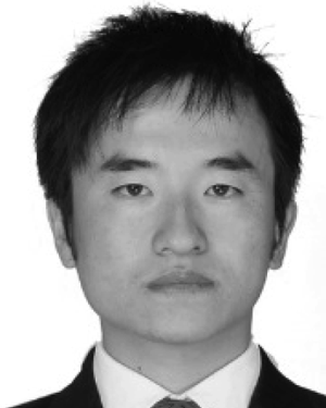 Connie H Li