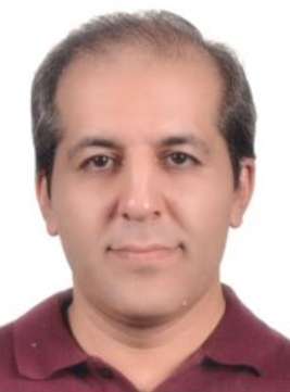 Hamed Hamishehkar