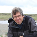 Wouter van Steenis