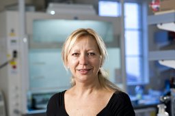 Svetlana Vassilieva