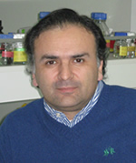 Martín Montecino
