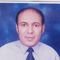 Alaa E. Hamza