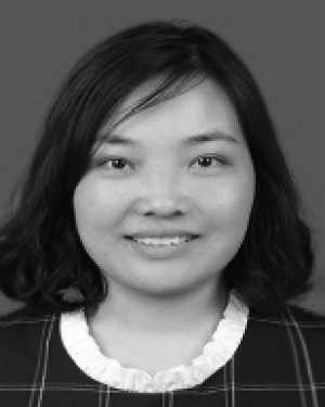 Feiyan Han