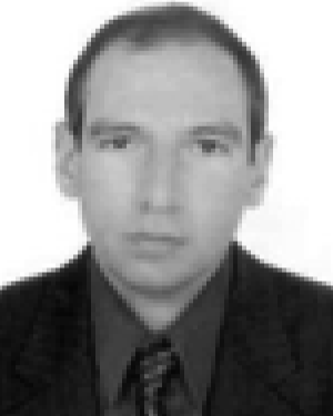 Hussein A. Elsayed