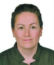 Altınkanat Gelmez Gülşen