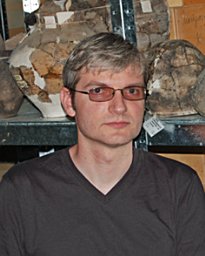 о в комар