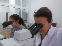 Fusun Comert