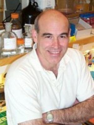 Vincent Duronio