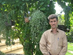 Mohammad H. Fotokian .