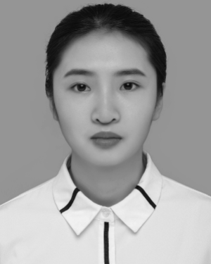 Yunfei Mei