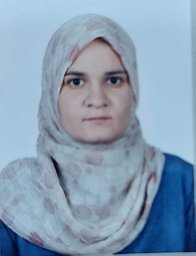 Zahraa N. Salman