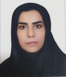 Roghayeh Molani Gol