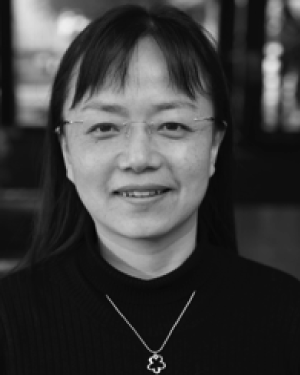 Liangxiu Han