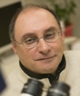 Vitaly Citovsky