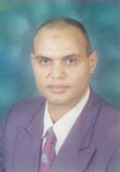 Ashraf M Zenkour