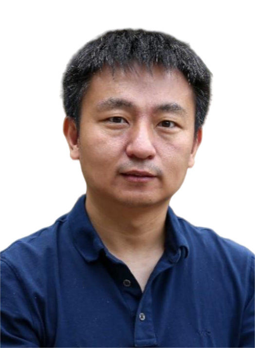 Tao Wei