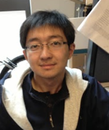 Yinfei Yang