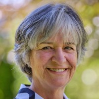 Marjolein Drent