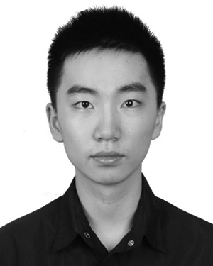 Tianye Shu