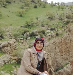 Sara Zarei