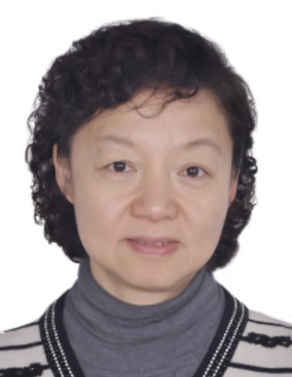 Zhi Jin